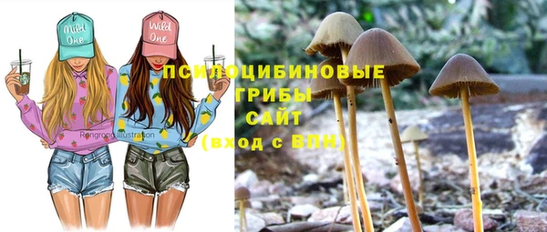 МДМА Армянск